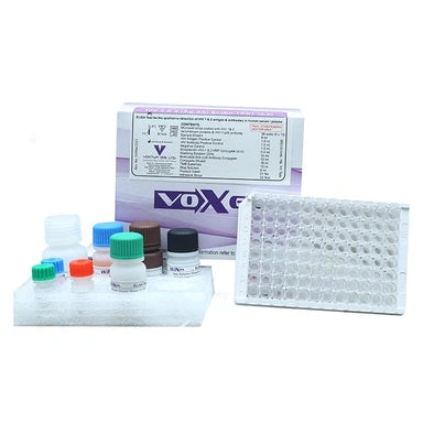 Voxtur Voxpress HIV HIV Rapid Card  (10 Tests)