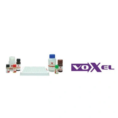 Voxtur Voxel HIV (4th Gen) HIV Rapid Card  (96 Tests)