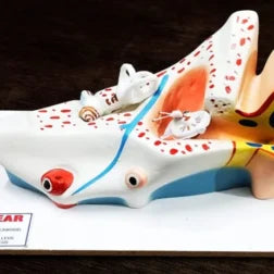 human ear model, 3D model for educational purpose..