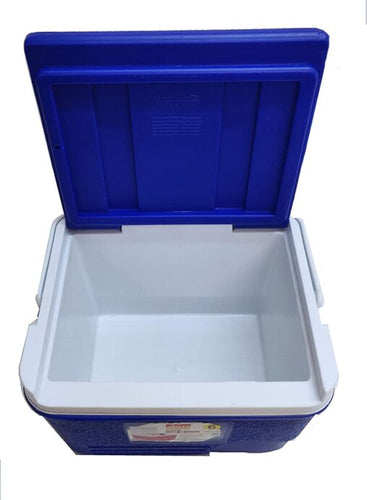 Insulated Chiller Ice Box 6 LTR (Blue) Small Size for Ice Cubes,Small Items and Medical Purpose Only