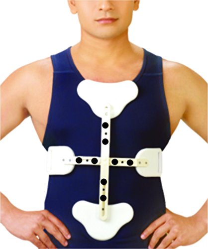 Hyper Extension Brace (Ash Brace)-One size fits most