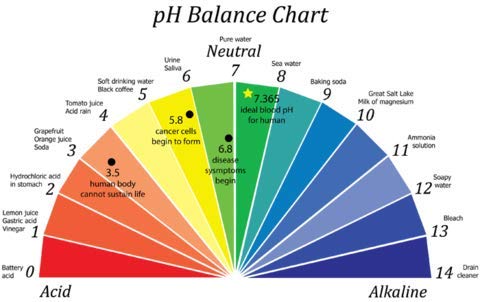 pH Meter,Portable Digital pH Meter (Hand Held)