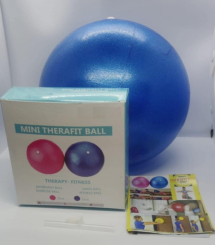 Spancare PVC Mini Gym Ball, Size 25cm, (Blue)