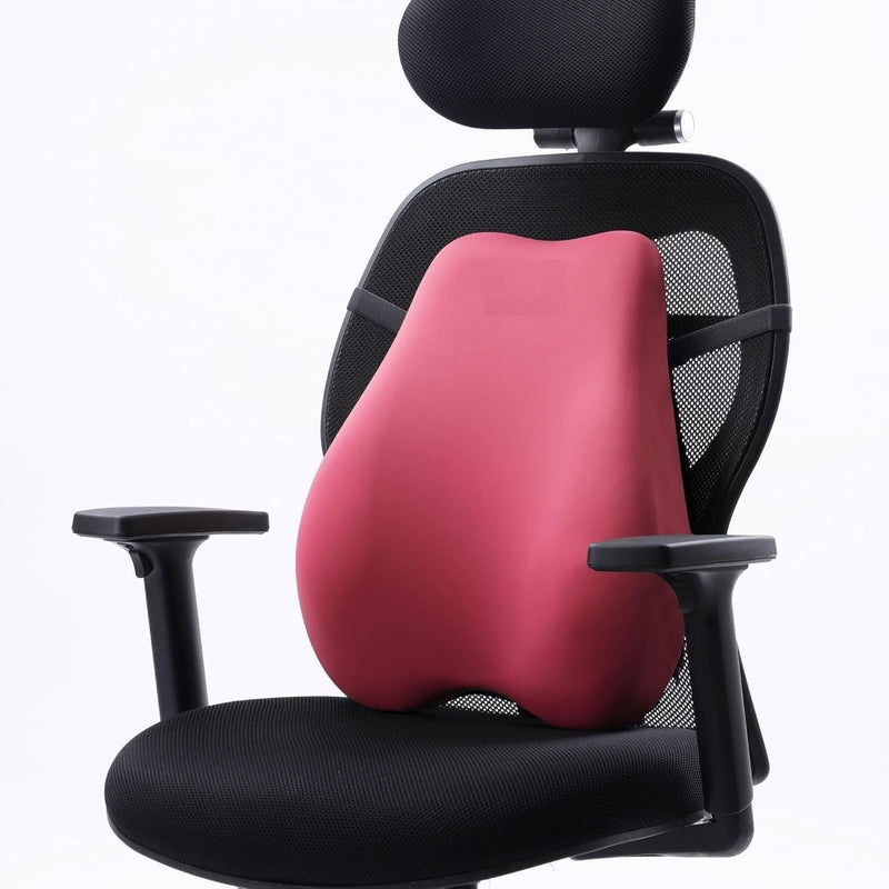 Backrest Cushion | High-Density Memory Foam | Premium Lumbar Support for Chairs | Durable Back Pillow for Office Chair & Home Use | Breathable & Machine-Washable Cover (Barbie Pink)